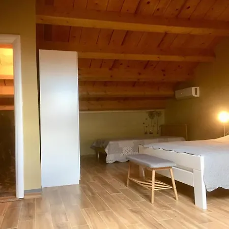 - Healthy House Villa